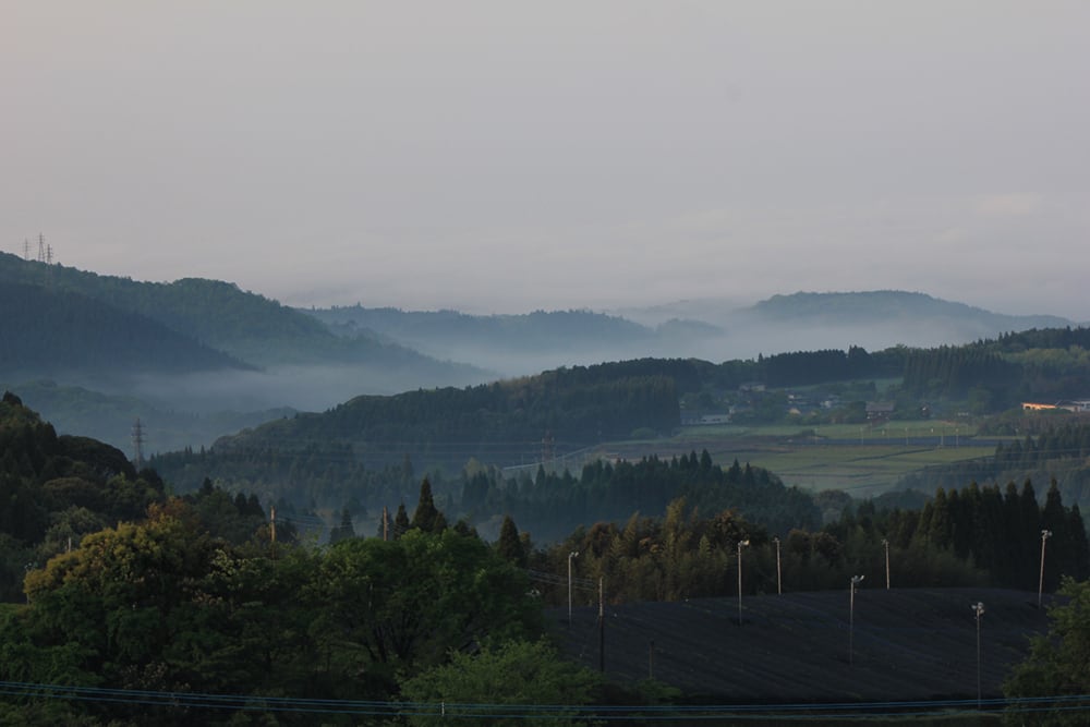 Med-steamed Sencha Chiyo no Kaori
