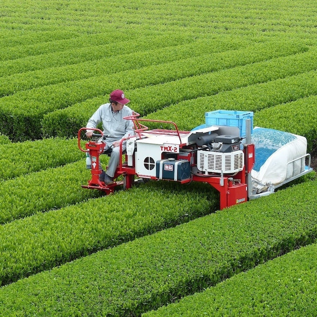 Fragrant Wakocha (Japanese Black Tea) 30g